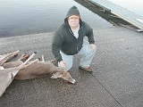 dandeer